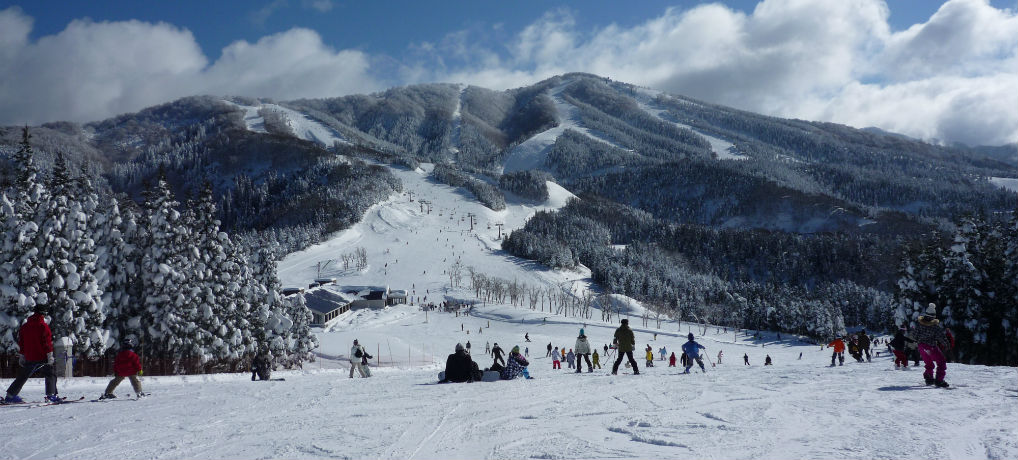 Ski i Japan: 5 grunde til at du skal prøve det